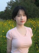 高铁动车组订价不正在该目次之内
